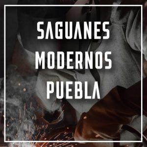 saguanes modernos Puebla a los mejores precios