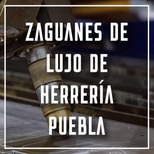 zaguanes de lujo de herrería Puebla a los mejores precios